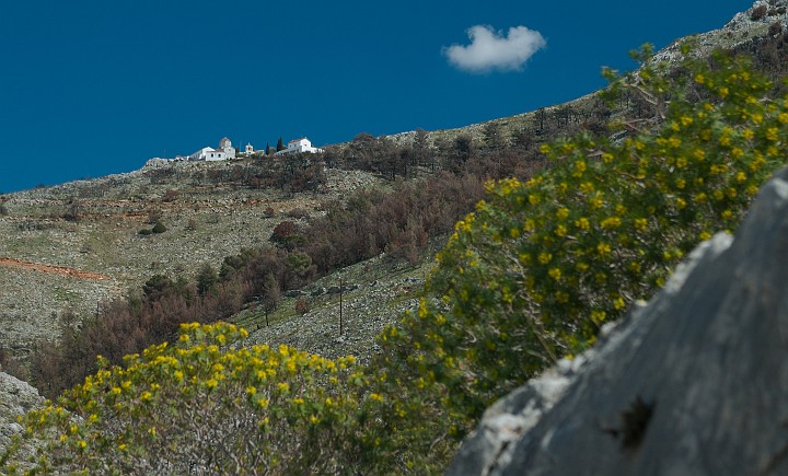 dsc_1425.jpg - Photographer Ales Rygl