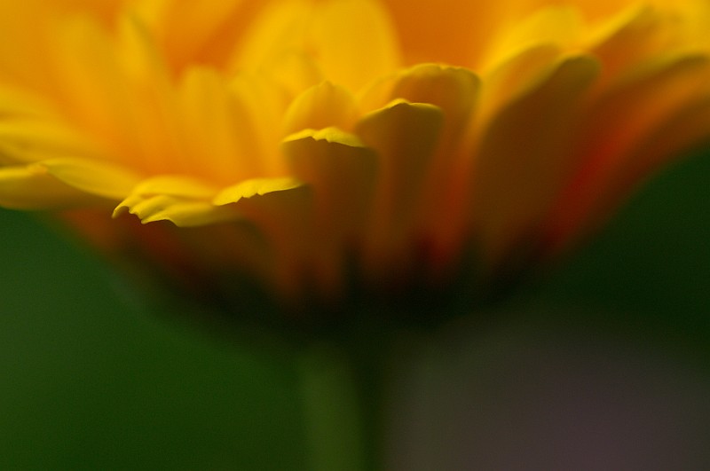 dsc_6494.jpg