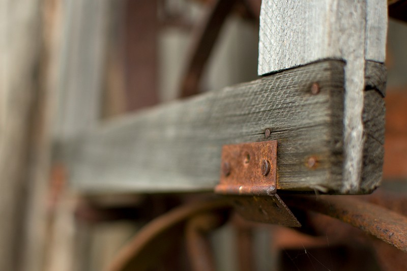 dsc_9135.jpg