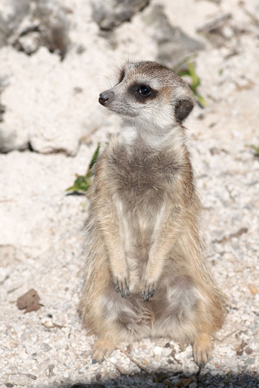 DSC_2871.jpg