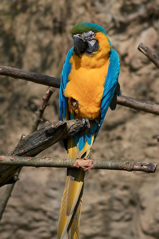 DSC_2910.jpg
