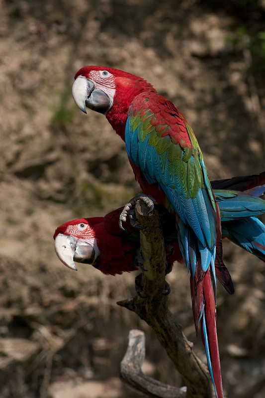 DSC_2911.jpg