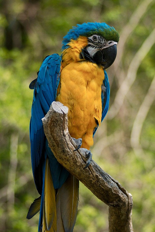 DSC_2941.jpg