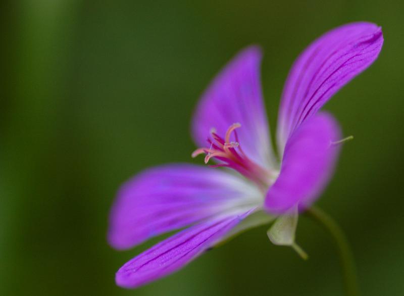 dsc_0028_from_nef.jpg - Photographer Ales Rygl