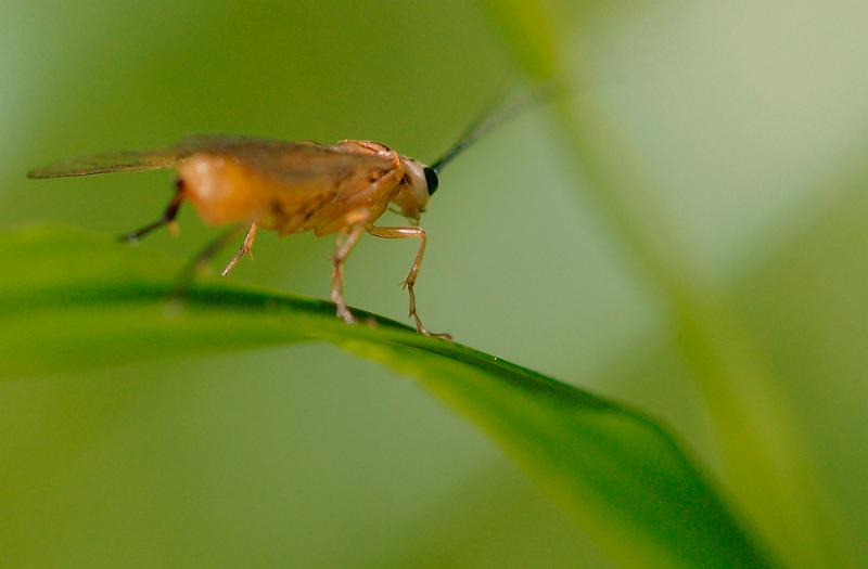 dsc_2091.jpg - Photographer Ales Rygl