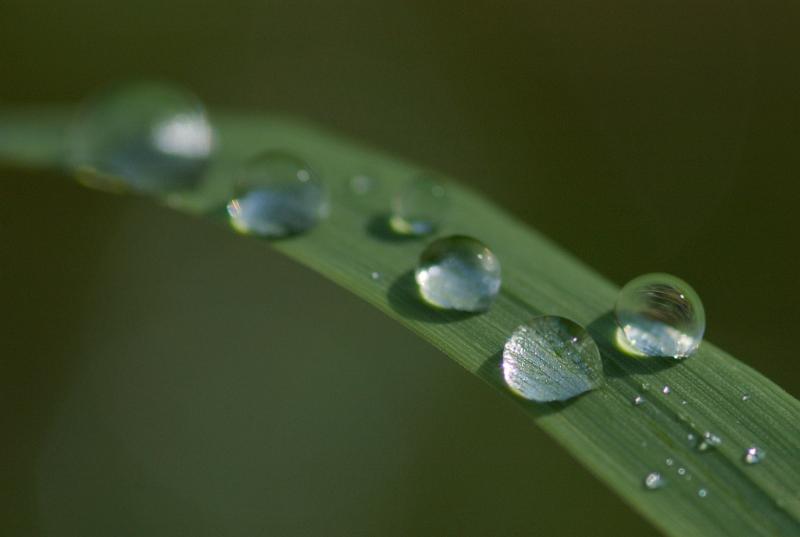 dsc_3683.jpg - Photographer Ales Rygl