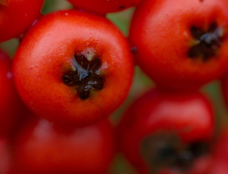 dsc_3692.jpg - Photographer Ales Rygl