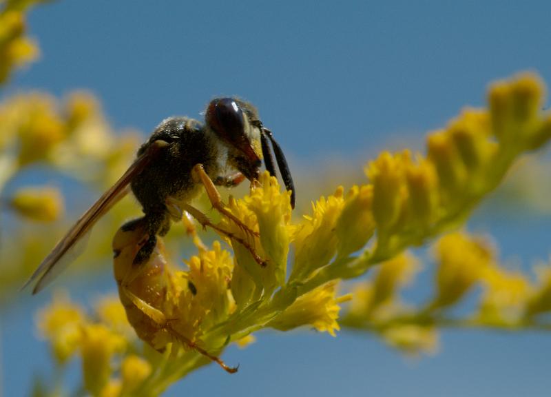 dsc_3703.jpg - Photographer Ales Rygl