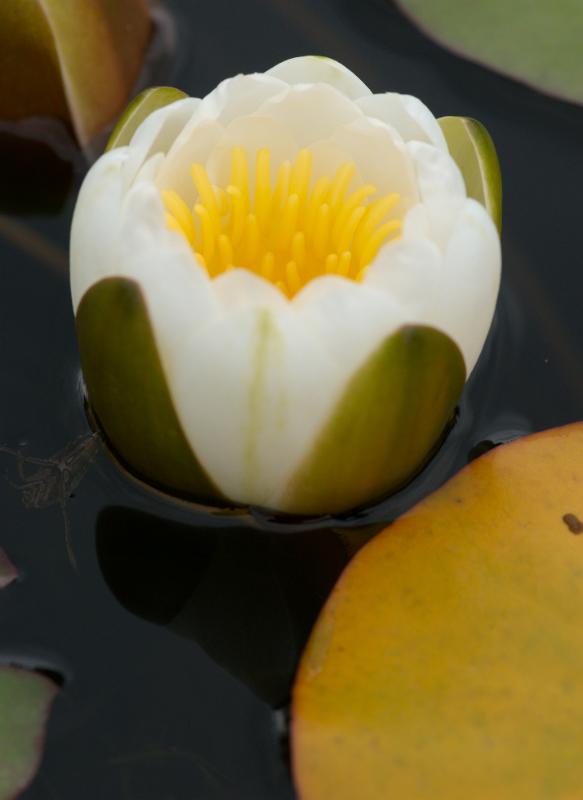 dsc_5827.jpg - Photographer Ales Rygl