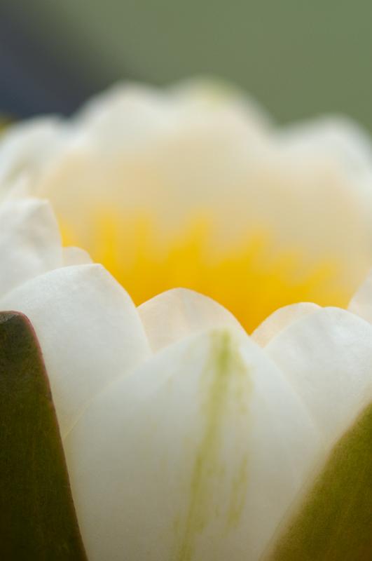 dsc_5829.jpg - Photographer Ales Rygl