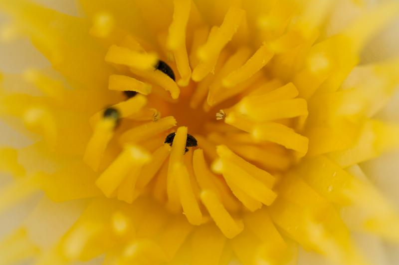 dsc_5842.jpg - Photographer Ales Rygl