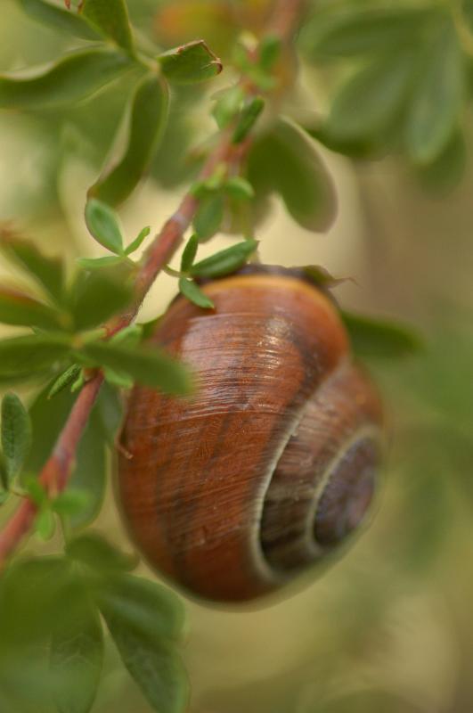 dsc_9911.jpg - Photographer Ales Rygl